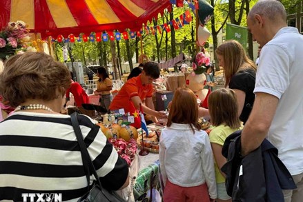 Xuân Bính Ngọ 2026: Ấm áp tình quê tại Hà Lan