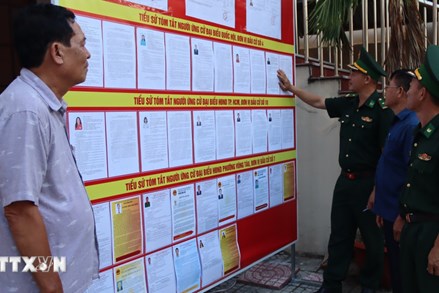 Thành phố Hồ Chí Minh: Ngư dân chủ động thu xếp chuyến biển để tham gia bầu cử