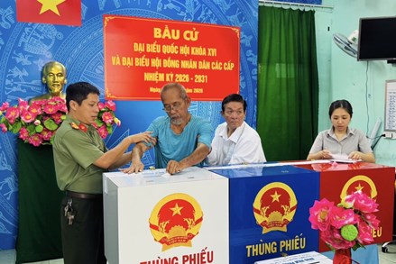 Tỷ lệ cử tri thành phố Hồ Chí Minh đi bầu cử đạt gần 97%