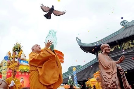 Hướng dẫn tổ chức Đại lễ Phật đản 2026, Phật lịch 2570