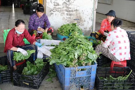 Đồng Tháp: Tạo sinh kế giúp hộ khó khăn thoát nghèo, ổn định cuộc sống