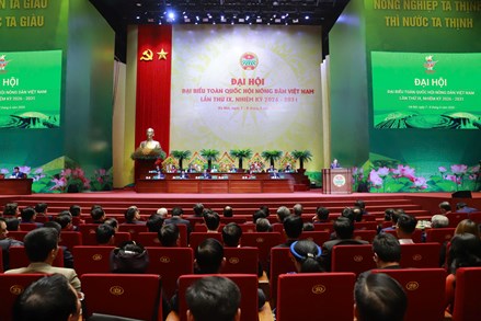 Dấu ấn nhiệm kỳ VIII Hội Nông dân Việt Nam: Khẳng định vai trò của nông dân trong kỷ nguyên mới