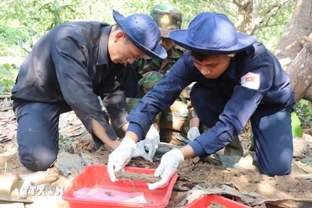 Tập trung cao nhất cho nhiệm vụ tìm kiếm và xác định danh tính hài cốt liệt sỹ