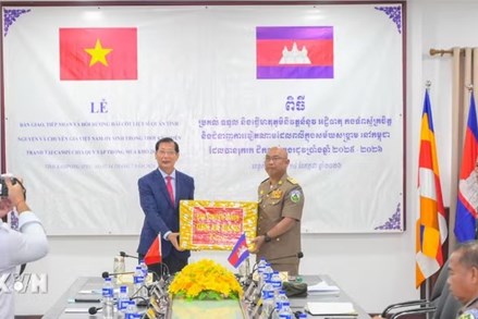An Giang: Đội K93 quy tập 81 hài cốt liệt sỹ tại tỉnh Kampong Speu của Campuchia