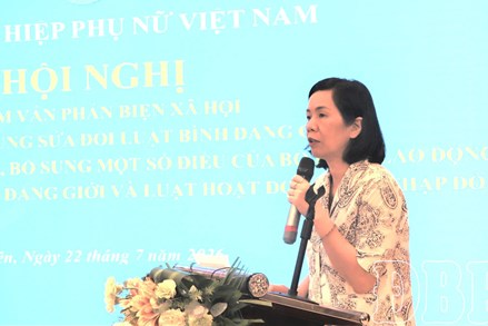 Trung ương Hội LHPN Việt Nam tham vấn phản biện xã hội, góp ý sửa đổi một số dự thảo luật