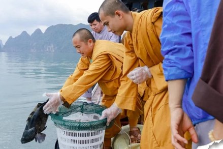 Giáo hội Phật giáo Việt Nam đề nghị không thu gom động vật để phóng sinh mùa Vu Lan