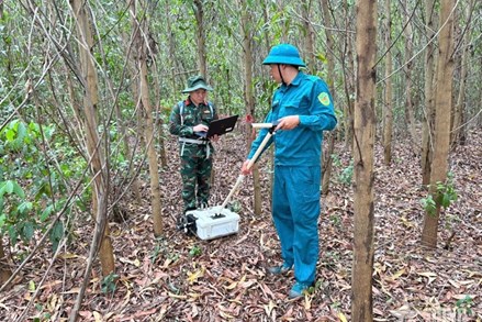 Hỗ trợ tìm kiếm hài cốt liệt sĩ bằng công nghệ radar xuyên đất tại Gia Lai