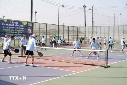 Tổ chức giải Pickleball thanh niên Việt Nam toàn quốc năm 2026