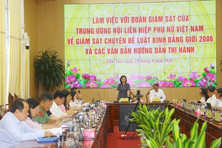 Trung ương Hội LHPN Việt Nam giám sát về việc thực hiện Luật Bình đẳng giới tại thành phố Cần Thơ