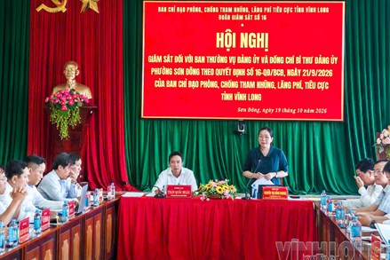 Vĩnh Long: Ủy ban MTTQ Việt Nam tỉnh làm việc với Đảng ủy phường Sơn Đông 