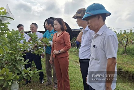 Trung ương Hội Nông dân Việt Nam kiểm tra công tác Hội và phong trào nông dân tại Hải Phòng