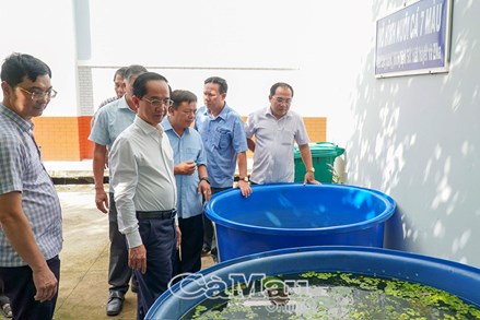 Cà Mau: Chủ tịch Ủy ban MTTQ Việt Nam tỉnh kiểm tra tình hình phòng, chống bệnh sốt xuất huyết tại xã Năm Căn