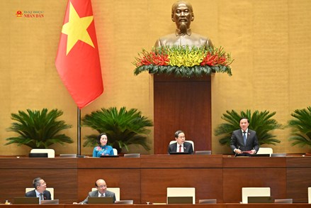Bảo đảm cân bằng giữa nghiêm trị hành vi phạm tội và mở rộng chính sách khoan hồng, nhân đạo