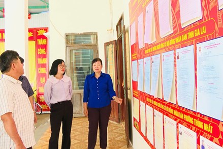 Gia Lai: Rà soát chặt chẽ danh sách, bảo đảm quyền bầu cử của cử tri