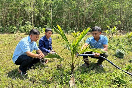 Gia Lai tạo sinh kế cho đồng bào vùng dân tộc thiểu số