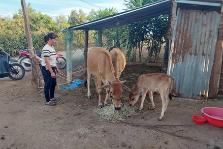 Gia Lai: Kon Gang tạo đòn bẩy giúp người dân thoát nghèo