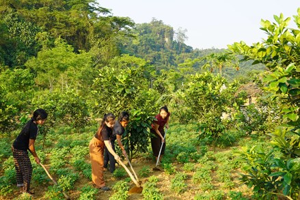 Quảng Trị: Nữ trưởng ban công tác Mặt trận tận tụy, gương mẫu