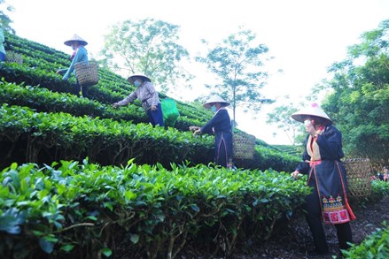 Tuyên Quang phát huy sức dân trong công cuộc giảm nghèo bền vững