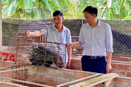 Lan tỏa sức mạnh đoàn kết trong xây dựng nông thôn mới, đô thị văn minh ở tỉnh Lào Cai