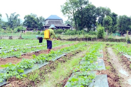 Phát huy vai trò của người uy tín trong phát triển KT-XH vùng đồng bào DTTS ở tỉnh Lai Châu