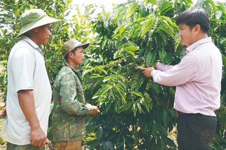 Quảng Ngãi: Khơi dậy sức dân trong xây dựng nông thôn mới