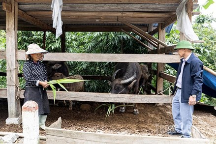 Chương trình MTQG phát triển kinh tế - xã hội vùng đồng bào DTTS đòn bẩy phát triển bền vững ở Lao Chải
