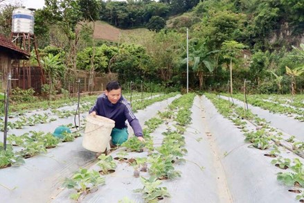 Khởi sắc từ khi thực hiện Chương trình phát triển kinh tế - xã hội vùng đồng bào dân tộc thiểu số, miền núi giai đoạn 2021-2025 ở xã Tà Hộc