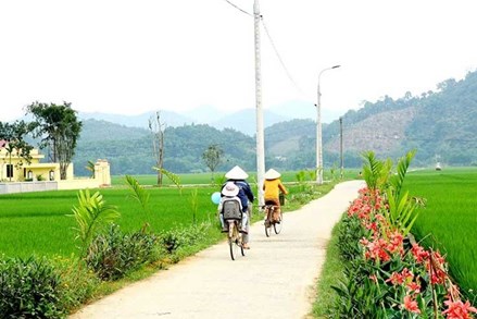 Chung tay xây dựng nông thôn xanh, sạch, đẹp