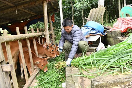 Thái Nguyên: Chuyển mình mạnh mẽ sau 5 năm thực hiện Chương trình mục tiêu quốc gia