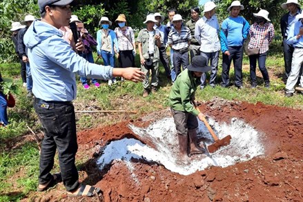 Xây dựng mô hình Bảo vệ môi trường gắn với cộng đồng