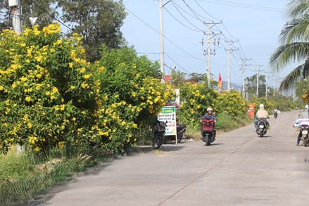 Nông thôn rực rỡ nhờ những tuyến đường hoa