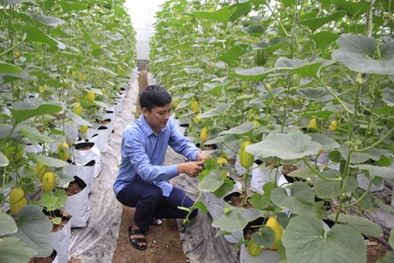 Nông thôn mới và đổi thay ở từng khu dân cư