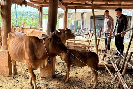 Hiệu quả từ Chương trình Mục tiêu quốc gia phát triển kinh tế - xã hội vùng đồng bào dân tộc thiểu số và miền núi ở xã Mường Khiêng