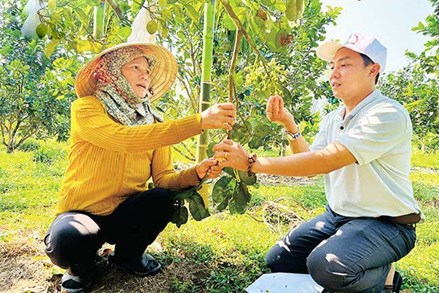 Mở hướng thoát nghèo cho đồng bào dân tộc thiếu số ở Quảng Ngãi