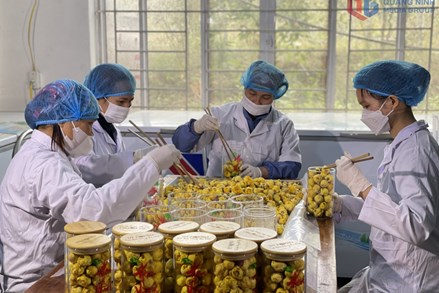 Nòng cốt trong các phong trào thi đua xây dựng nông thôn mới