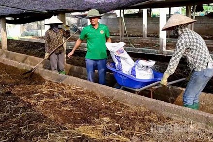 Giảm thiểu ô nhiễm từ chăn nuôi tuần hoàn