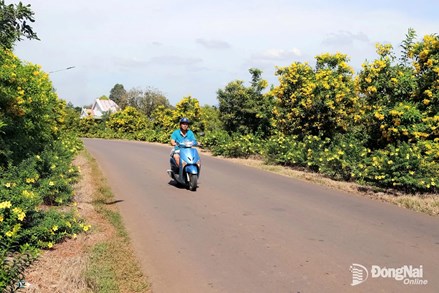 Đồng Nai: Xây dựng vùng nông thôn đáng sống