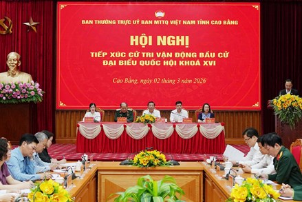 Cao Bằng: Tổ chức Hội nghị trực tuyến tiếp xúc cử tri, vận động bầu cử 