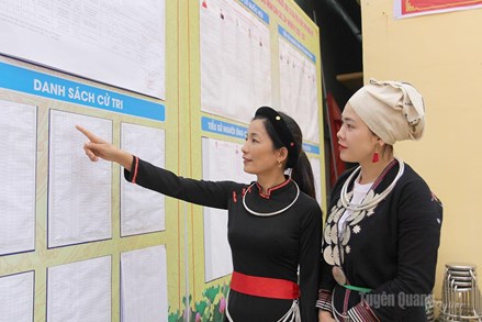 Tuyên Quang: Vận động bầu cử dân chủ, minh bạch và đúng pháp luật