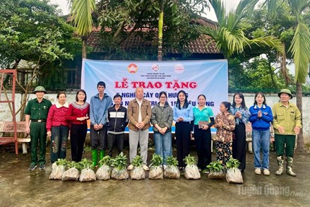 Trao tặng 5.000 cây quế giống cho hộ nghèo ở xã Vị Xuyên