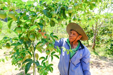 Lâm Đồng: xã D’ran đổi thay nhờ chính sách dân tộc