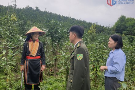 Quảng Ninh: Động lực phát triển kinh tế - xã hội vùng đồng bào dân tộc thiểu số 