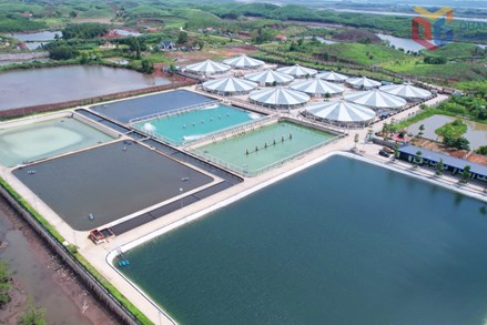 Quảng Ninh: Phát huy nội lực, nâng tầm nông thôn mới