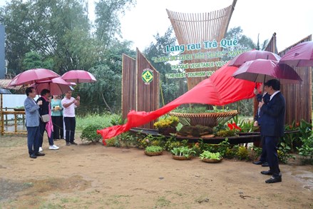 Đà Nẵng tập trung nguồn lực xây dựng nông thôn mới và phát triển vùng đồng bào dân tộc thiểu số