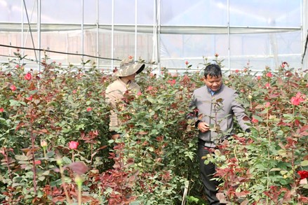 Lâm Đồng: “Hạt nhân” ở vùng đồng bào dân tộc thiểu số 