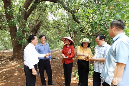 Xã Đồng Tâm, tỉnh Đồng Nai xây dựng nông thôn mới gắn với nông nghiệp bền vững