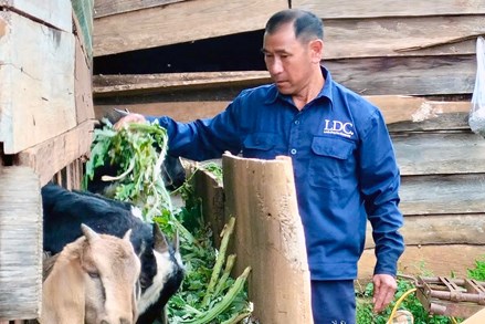 Lâm Đồng: Ý Ðảng - lòng dân trong công tác giảm nghèo vùng đồng bào dân tộc thiểu số