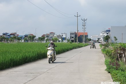 Hải Phòng: Nông thôn mới hướng tới hiện đại, bền vững