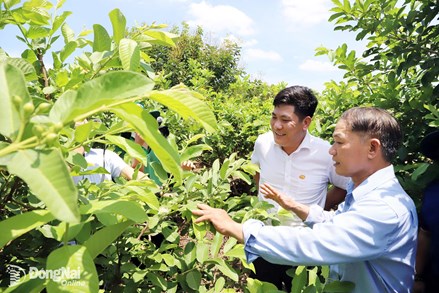 Đồng Nai đặt mục tiêu cao trong xây dựng nông thôn mới
