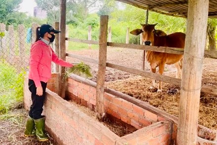 Lâm Đồng: Xã Sông Lũy tạo sinh kế bền vững cho đồng bào dân tộc thiểu số 